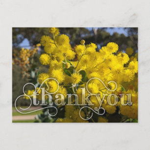 Säg Tack med Gult Wattle Flowers Helg Vykort