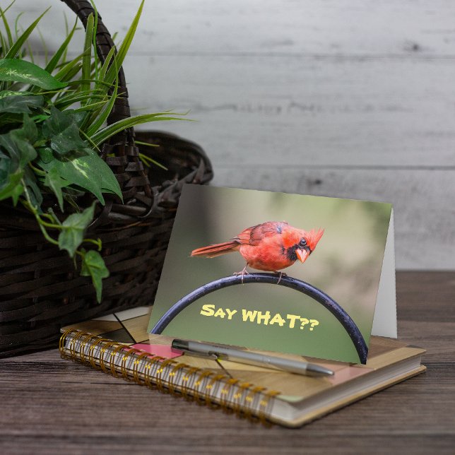 Säg vad? Notecard Kort (This is a cute photo of a red Cardinal which lends itself well to a cute caption.)