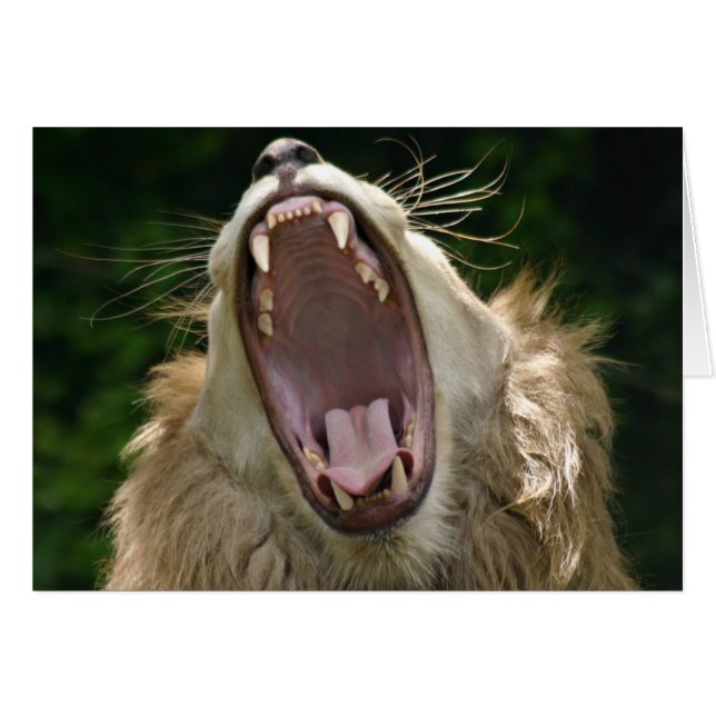 säga hälsningskort (Framsidan Horizontal)