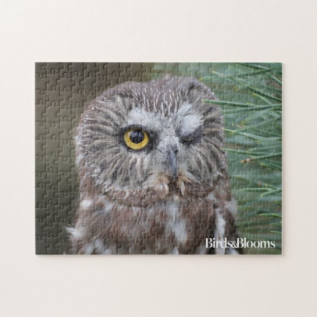 Såga-whet ugglan pussel (Horisontell)