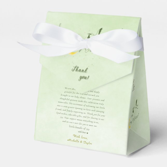  Sage Baby Boy Bliss: Stork Special Delivery Bebis Presentaskar (Framsidan Sidan)