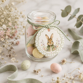 Sage Gingham Kanin Baby Shower Gåvor Etiketter