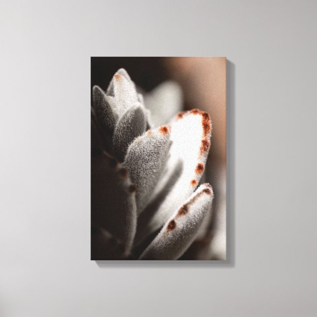 Sage Grönt med brun tips Canvastryck (Framsida)