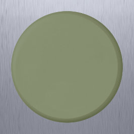 Sage Grönt Solid Färg Magnet