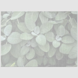 Sage Tissue Paper, Decoupage, Botanical Grey