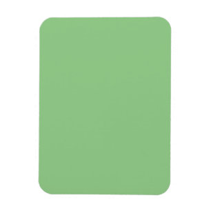 Sagegrön minimalistisk lugn dekoration magnet