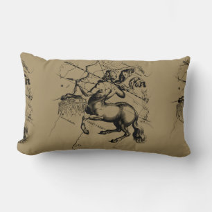 Sagittarius Constellation Hevelius circa 1690 Lumbarkudde