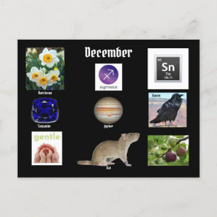 Sagittarius December Birth Month POSTCARD Vykort