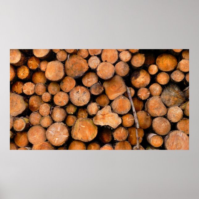 sågloggar poster (Framsidan)