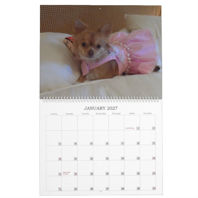 Sagolik kalender för chihuahua 2013 (Jan 2027)