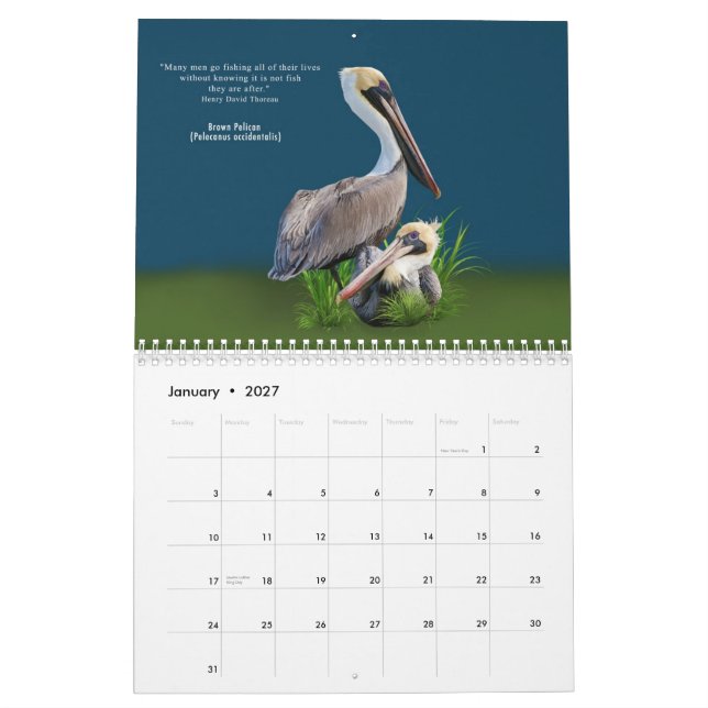 Sagolika fåglar kalender för 12 månad (Jan 2027)