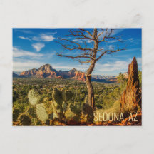 Sagolika Sedona Arizona Öken vykort med Kaktus