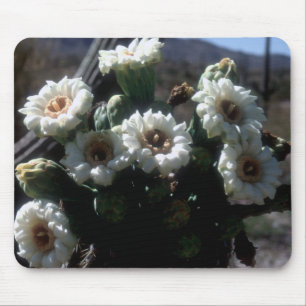 Saguaro Blommars Mousepad Musmatta