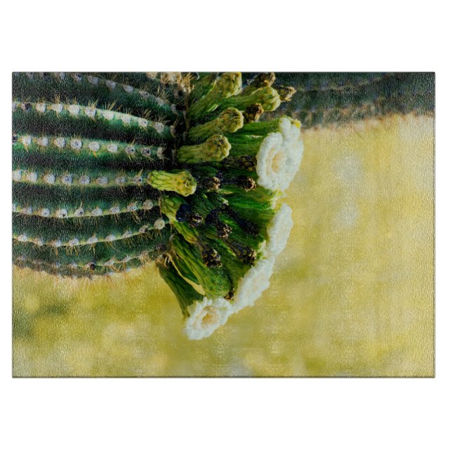 Saguaro-blommor (Framsidan)