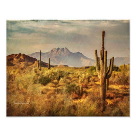 Saguaro Cacti Arizona Desert Mountain View Fototryck
