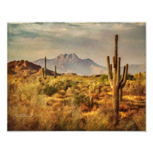Saguaro Cacti Arizona Desert Mountain View Fototryck