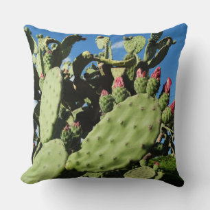 Saguaro Cacti, Cactus Plants Kudde