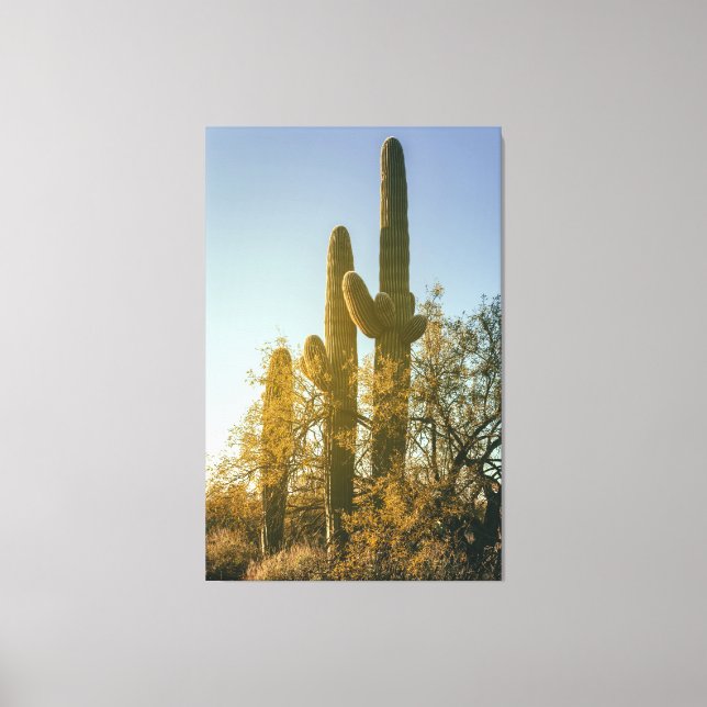 Saguaro Cacti Canvastryck (Framsida)