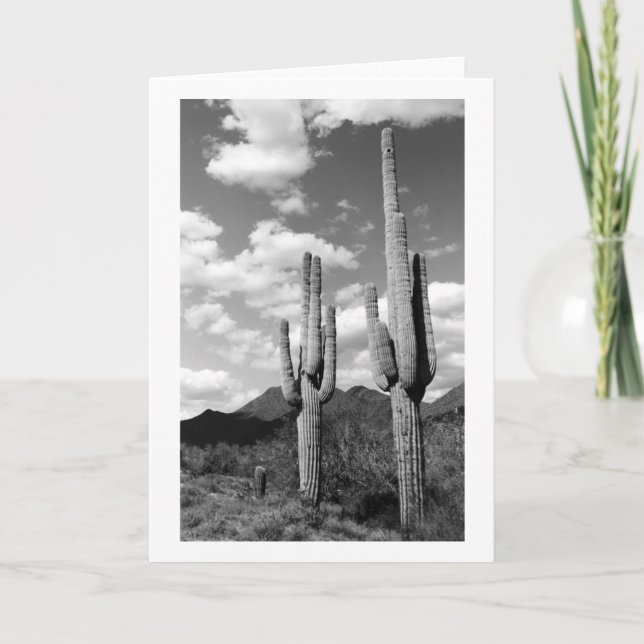 Saguaro Cacti Sonoran Desert Photo Greeting Card Kort (Framsida)