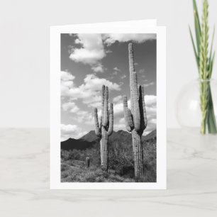 Saguaro Cacti Sonoran Desert Photo Greeting Card Kort