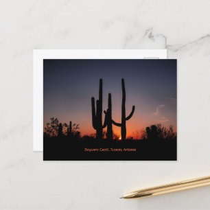 Saguaro Cacti vid Sunset Vykort