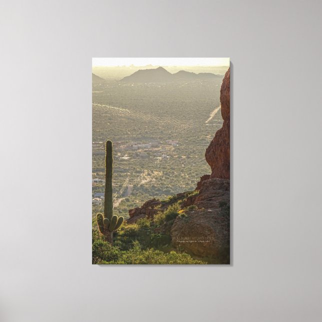 Saguaro Cactus Apache Junction Pheonix AZ 24 x 36 Canvastryck (Framsida)