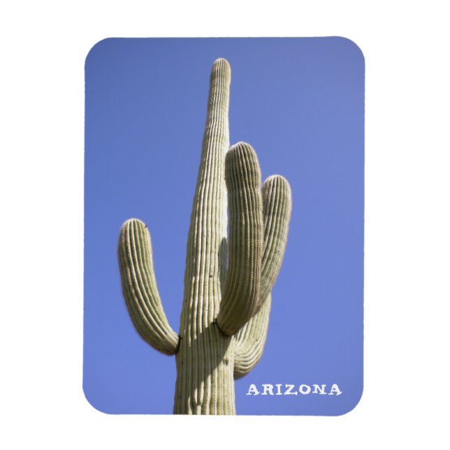 Saguaro Cactus - Arizona - Magnet (Vertikal)