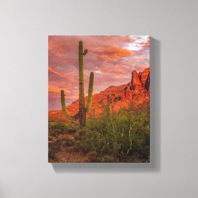 Saguaro Cactus Arizona Sunset Terracotta Red 11x14 Canvastryck (Framsida)