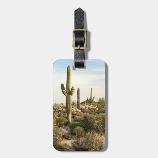 Saguaro Cactus, Arizona, USA Bagagebricka (Vertikal Framsida)