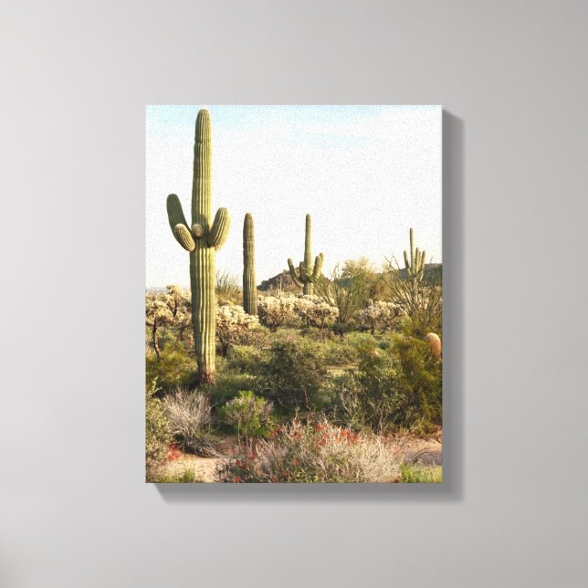 Saguaro Cactus, Arizona, USA Canvastryck (Framsida)