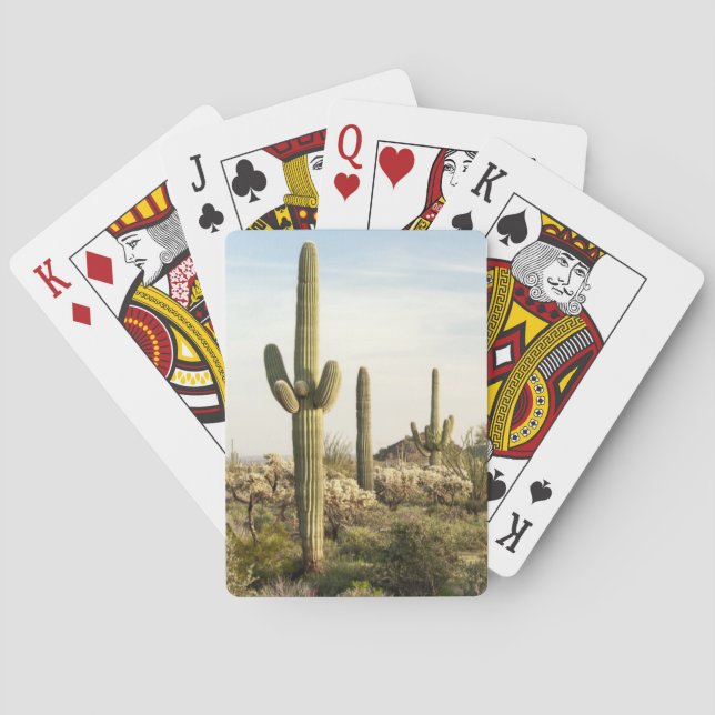 Saguaro Cactus, Arizona, USA Spelkort (Baksidan)