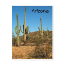 Saguaro cactus, Arizona - vykort