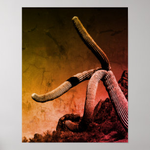 Saguaro Cactus Art Photograph i Rustic Stil Poster