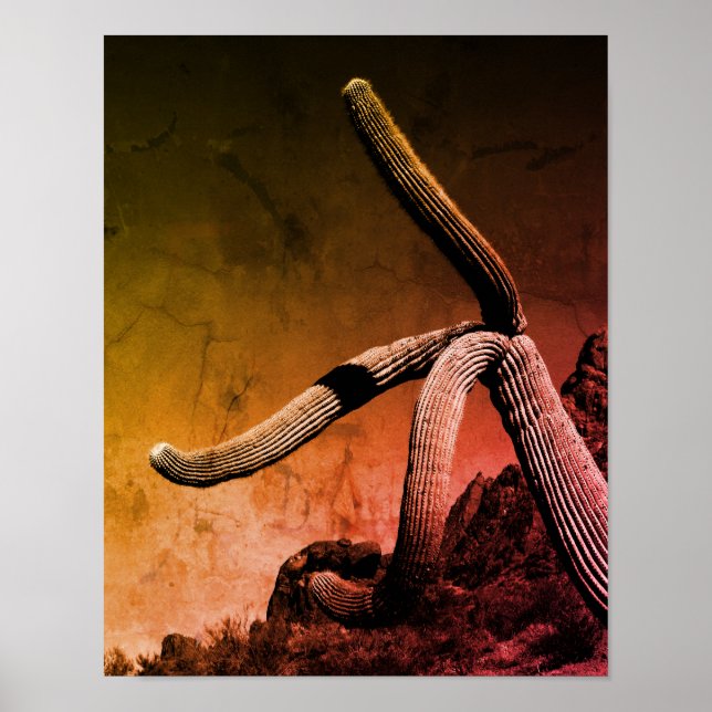 Saguaro Cactus Art Photograph i Rustic Stil Poster (Framsidan)
