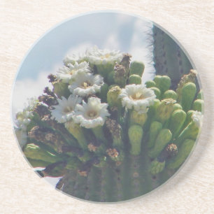 Saguaro cactus blooms underlägg
