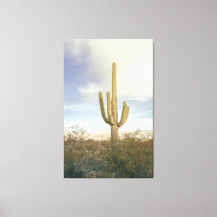 Saguaro Cactus Desert liggande Canvastryck