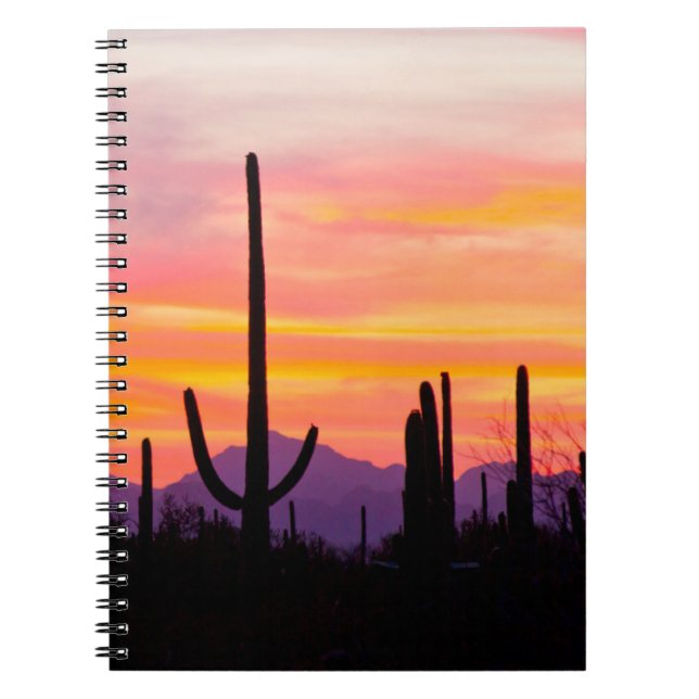 Saguaro Cactus Forest vid Sunset Anteckningsbok (Framsidan)