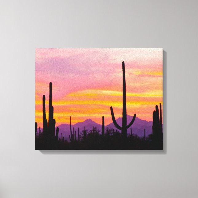 Saguaro Cactus Forest vid Sunset Canvastryck (Framsida)