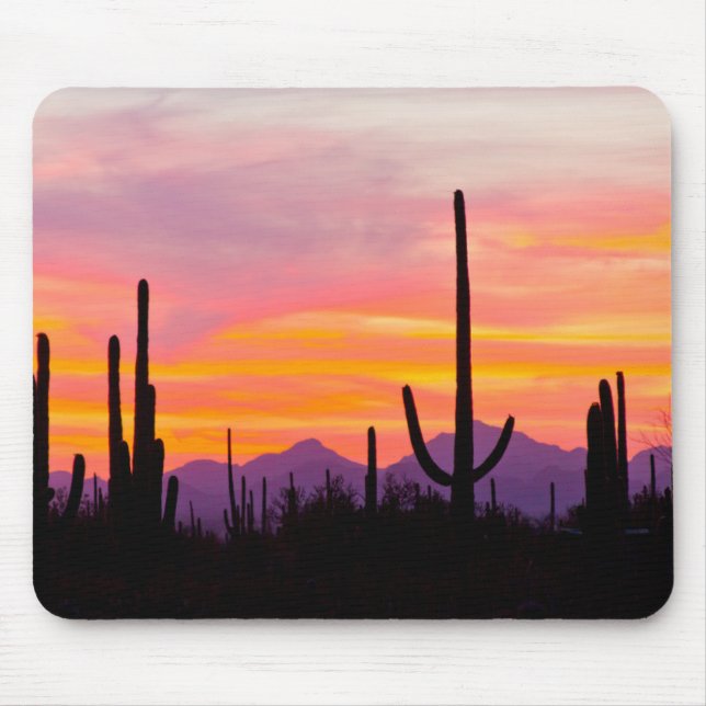 Saguaro Cactus Forest vid Sunset Musmatta (Framsidan)