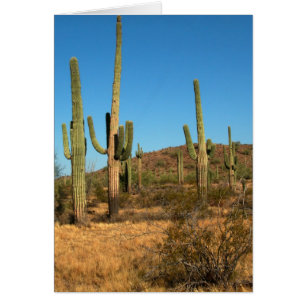 Saguaro cactus hälsningskort