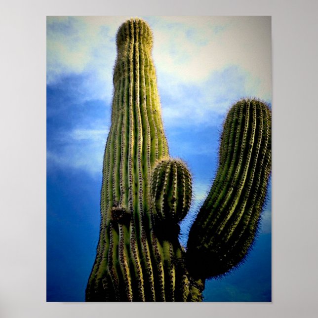 Saguaro Cactus High Postcard Poster (Framsidan)