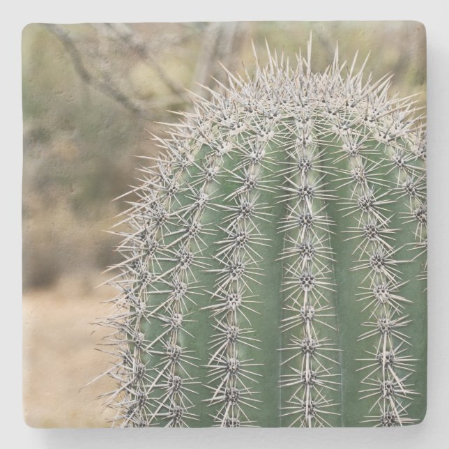 Saguaro Cactus in Arizona, underlägg med kvadratis (Framsidan)