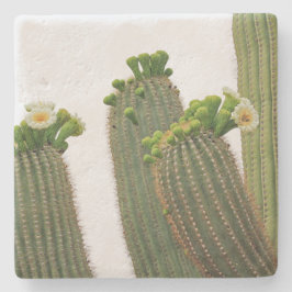 Saguaro Cactus in Arizona, underlägg med kvadratis