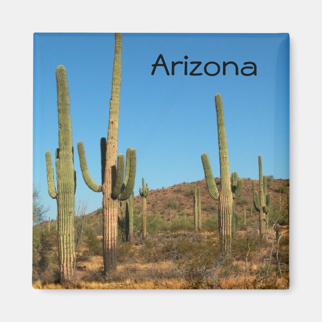 Saguaro cactus magnet (Framsidan)
