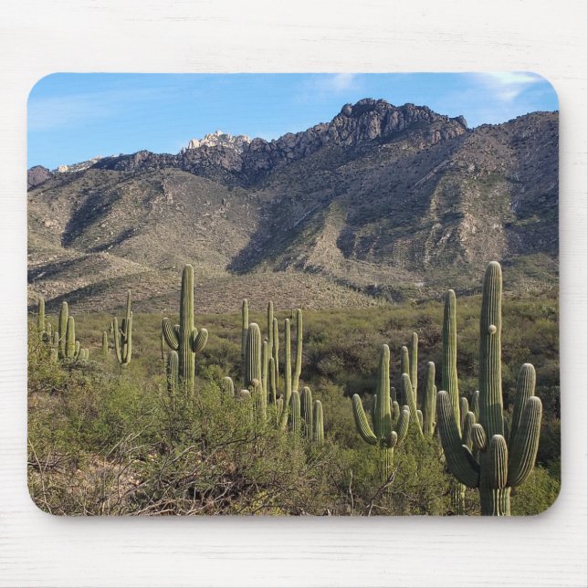 Saguaro Cactus och Catalina Mountain, Tucson AZ Musmatta (Framsidan)