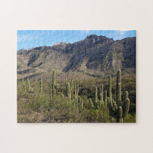 Saguaro Cactus och Catalina Mountains, Tucson AZ Pussel