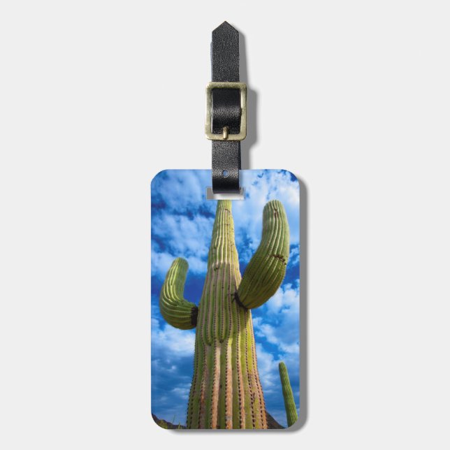 Saguaro cactus porträtt, Arizona Bagagebricka (Vertikal Framsida)