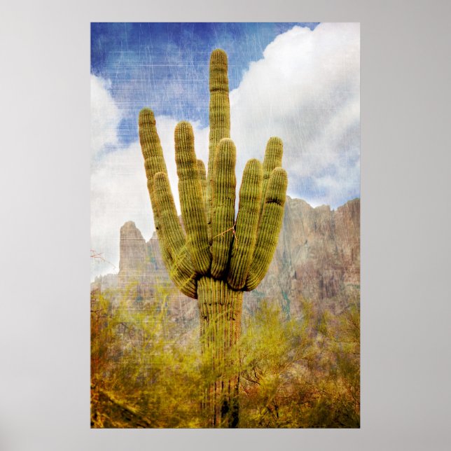 Saguaro Cactus Poster (Framsidan)