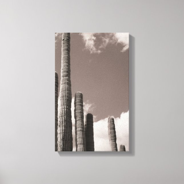 Saguaro Cactus Rör Desert B&W Photo Art Prages Canvastryck (Framsida)