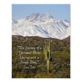Saguaro Cactus Snö-bergen Arizona USA Fototryck